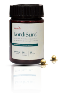 Potential As Functional Food